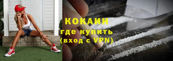 хмурый Каменка
