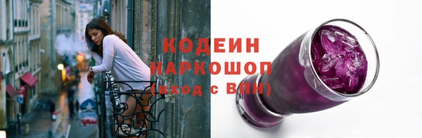 хмурый Каменка