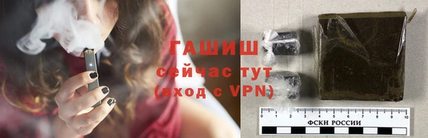 хмурый Каменка