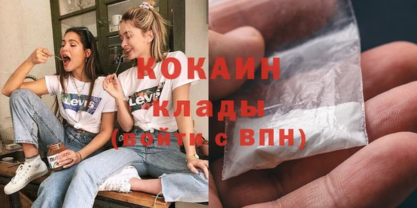 хмурый Каменка