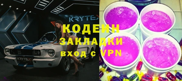 хмурый Каменка