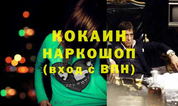 хмурый Каменка