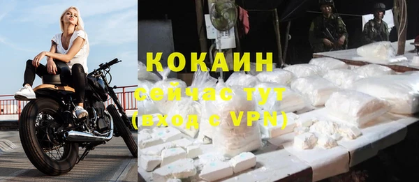 хмурый Каменка