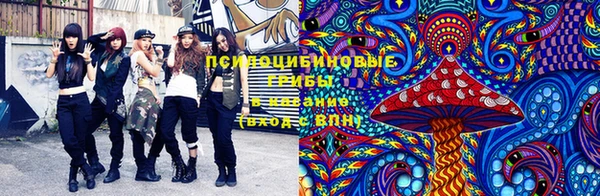 ПСИЛОЦИБИНОВЫЕ ГРИБЫ Каменск-Шахтинский