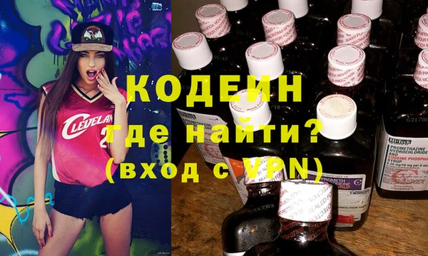 хмурый Каменка