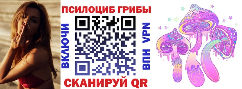 Галлюциногенные грибы мицелий  купить  цена  Хабаровск 