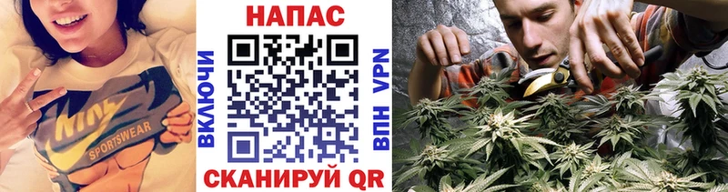 Каннабис индика Хабаровск
